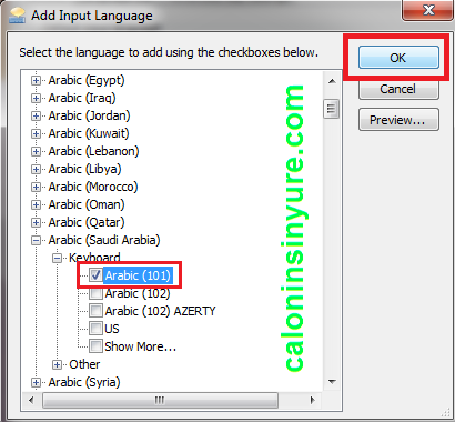 Gambar Tampilan Jendela Add Input Languange