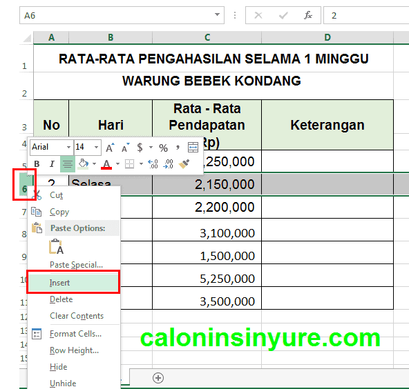 Gambar Tampilan Workhseet Insert Row