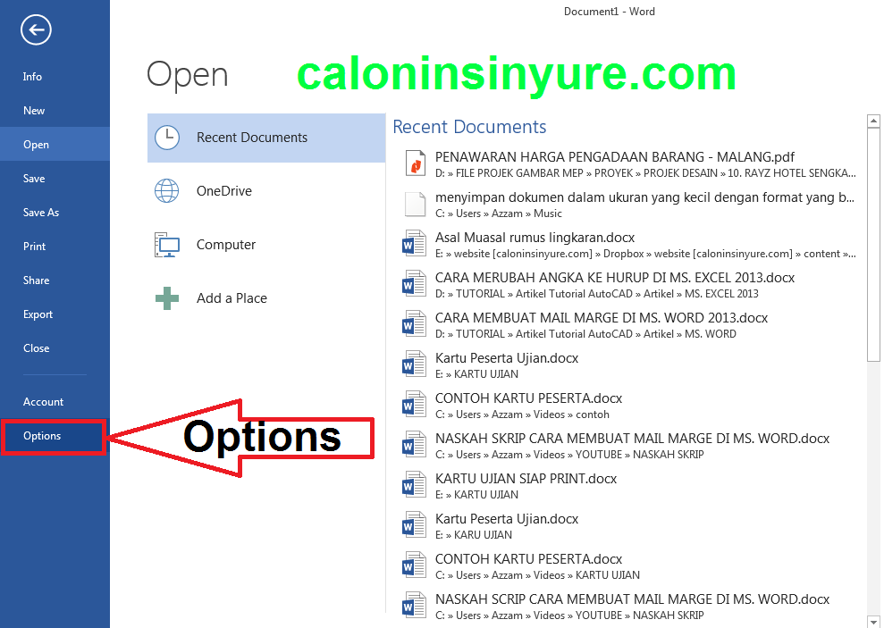 Gambar Tampilan File Options Microsoft Word 2013