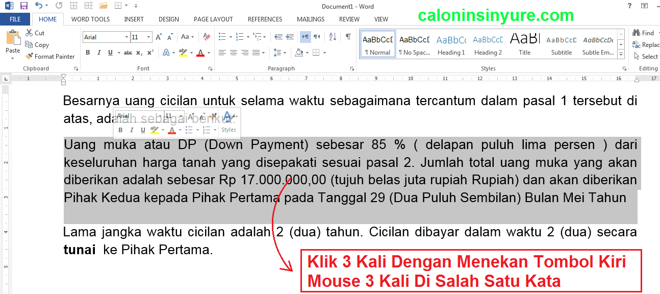 Gambar Tampilan Teks Document MS. Word