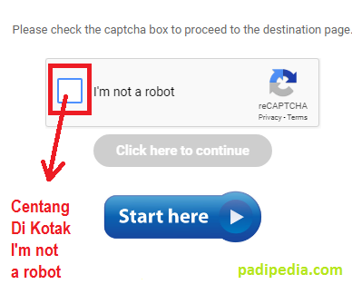 Gambar Tampilan Verify